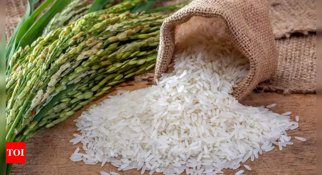 India’s rice production set to drop for the first time in 8 years | India Business News