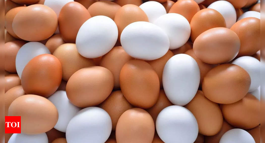 Difference between white and brown eggs – A Complete Guide |