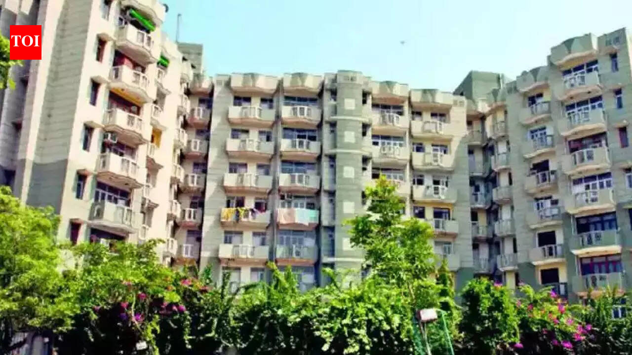 timesofindia.indiatimes.com