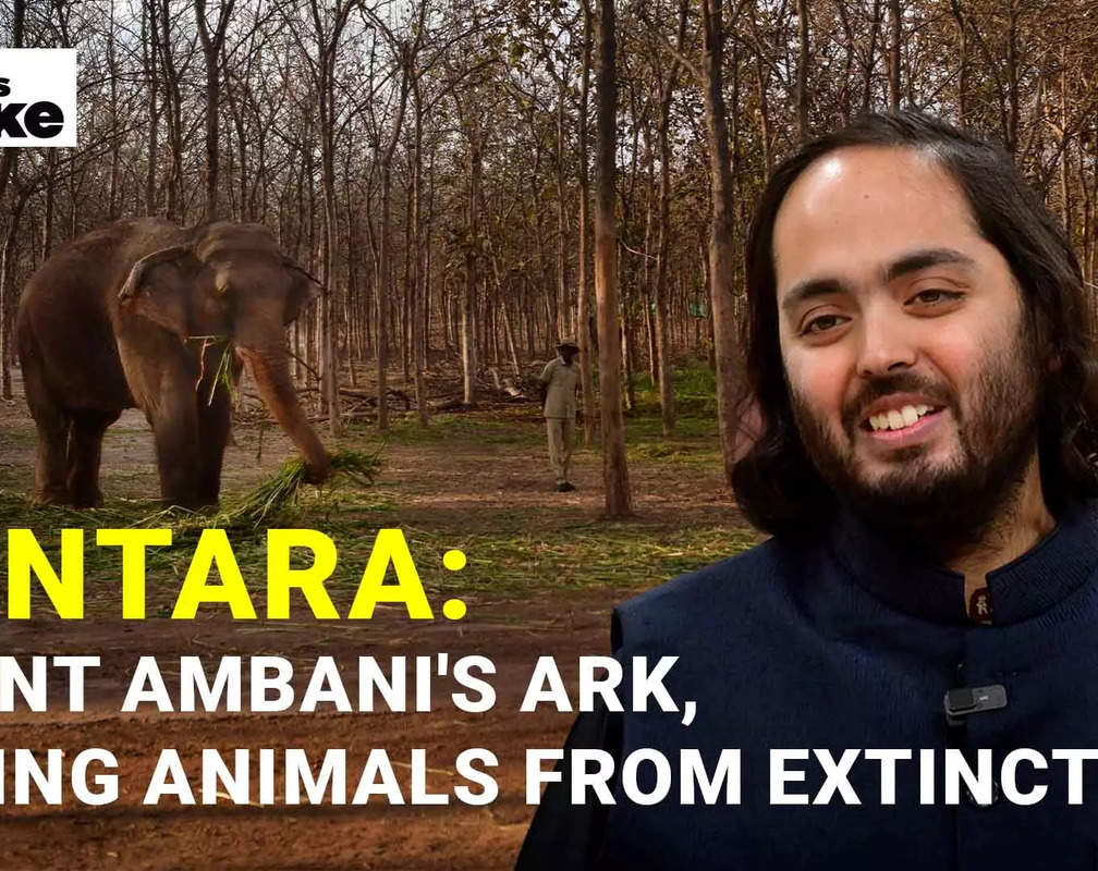 
'You earn Punya by helping animals - They face cruelty and extinction'
