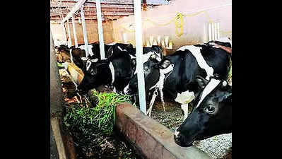 Dairy sector set to see an investment of ₹9,000 crore