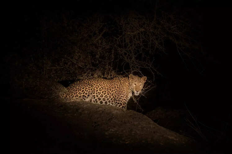 Panna National Park, Madhya Pradesh