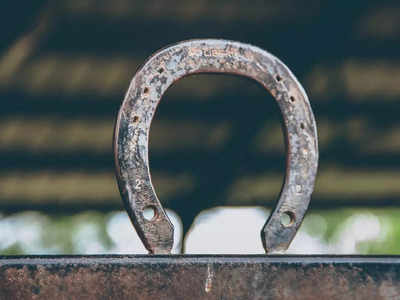 3 Simple Ways to Clean a Horse Shoe - wikiHow