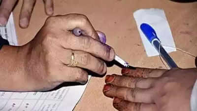 Over 30,000 voters in UP are centenarians: EC