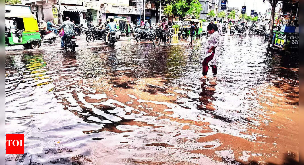Rains: Unseasonal Rain Causes Damage to Rabi Crops and Mangoes | Rajkot ...