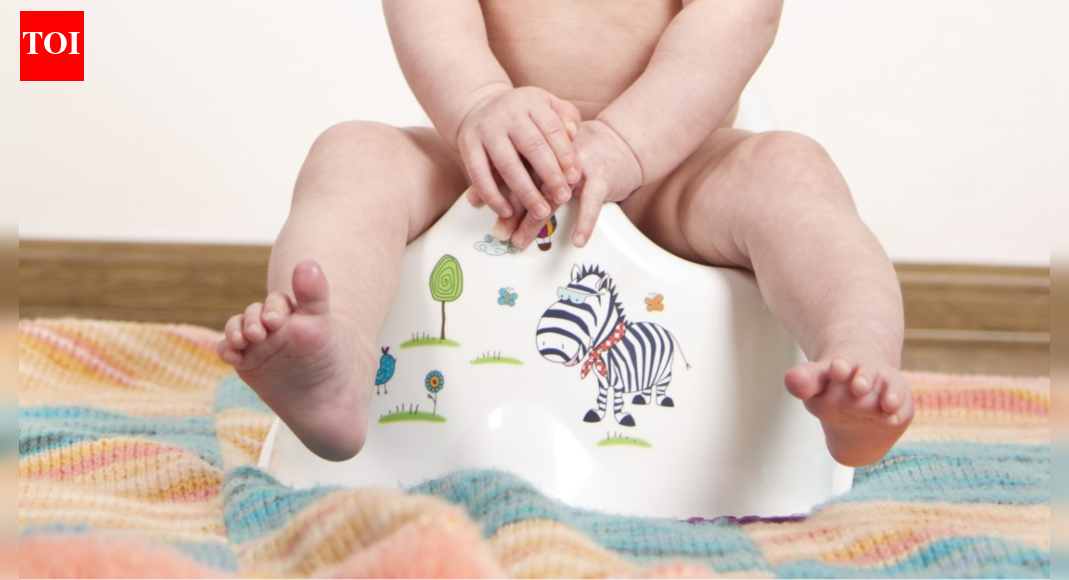 How to Use Baby Potty Seats to Successfully Potty Train Your Child ...