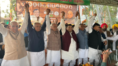 'Will win all 10 seats in Haryana', say INDIA bloc leaders after Kurukshetra meeting