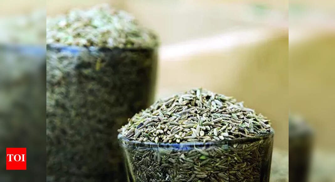 Production Of Cumin Production of cumin in Gujarat to double this year FISS Ahmedabad News