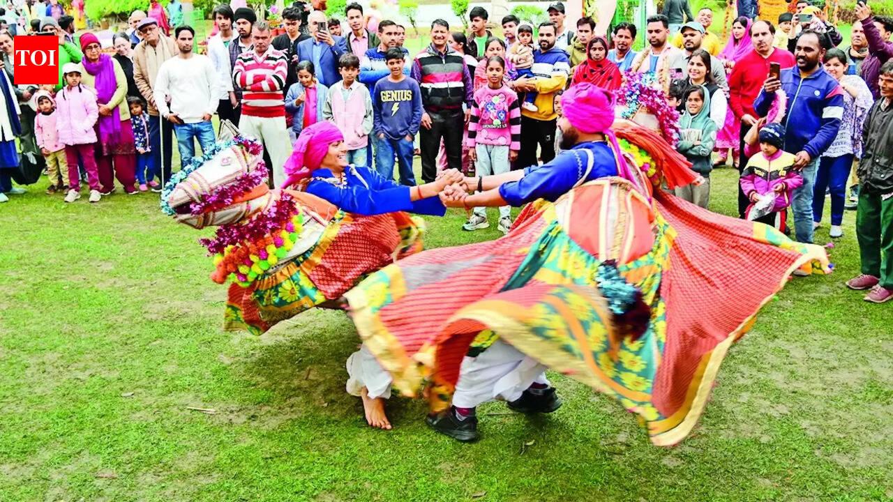 Rain fails to dampen spirit as 2-day spring fest ends | Chandigarh News ...