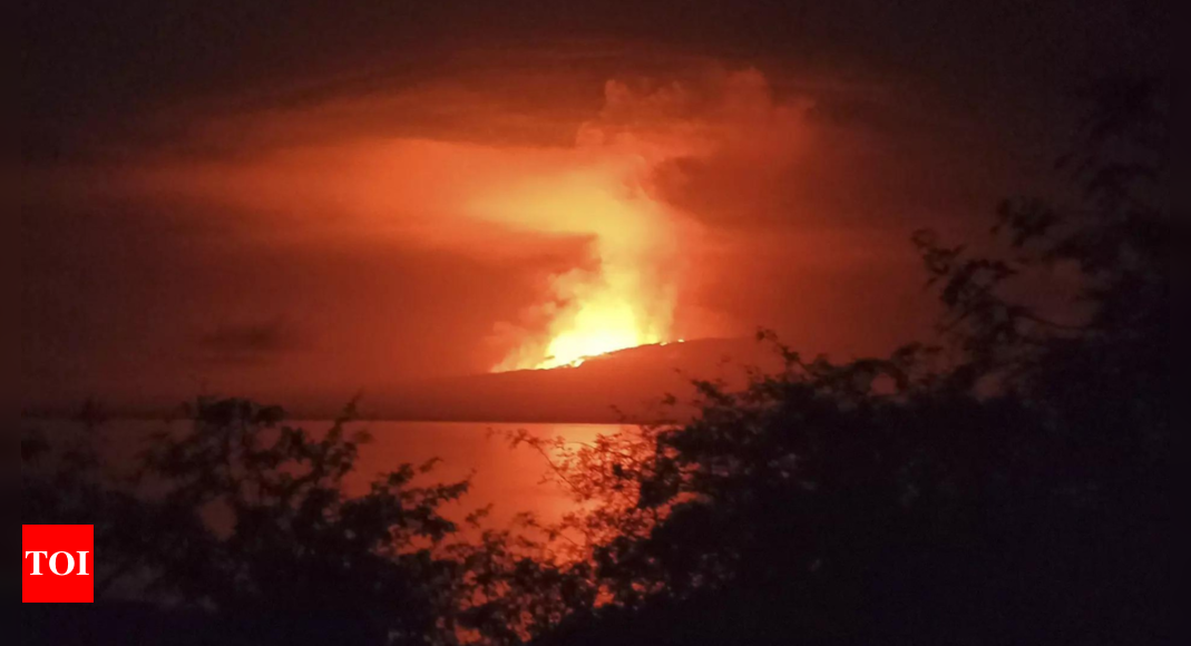 Un volcan sur une île inhabitée des Galapagos entre en éruption et envoie de la lave couler vers la mer