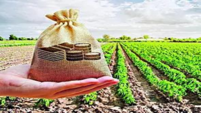 Online platform to enable farmers get post-harvest loans from banks against agri produce in godowns launched