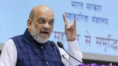 Shah: Centre firm on providing constitutional safeguards to Ladakh