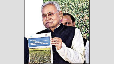 Nitish launches new climate strategy, projects worth Rs 108cr
