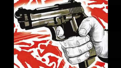 Man shoots wife dead with airgun in Rajgarh