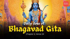 Beyond material pleasure & fear: Discover your true self with Bhagavad Gita, Chapter 2, Verse 24