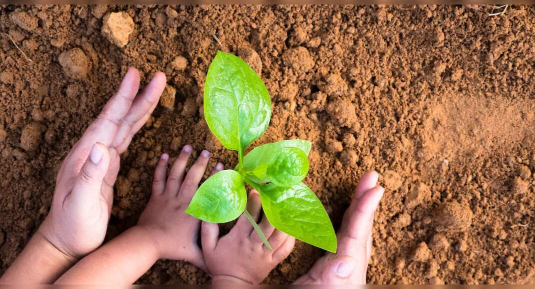 Piplantri, village where 111 saplings are planted every time a girl ...