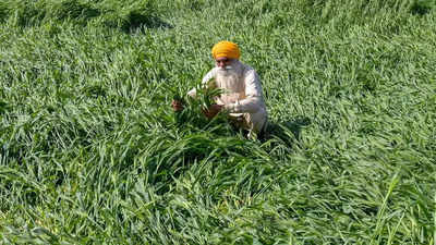 Opposition MLAs feel Rs 575 crore too less for crop diversification
