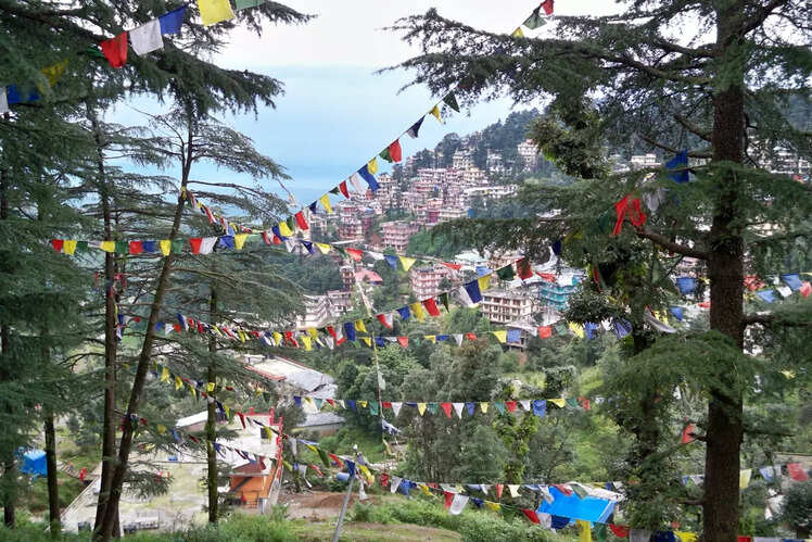 McLeod Ganj, Himachal Pradesh