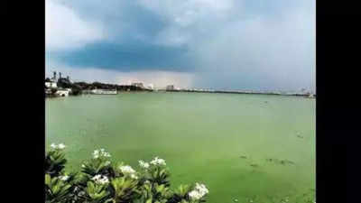 Citizen WhatsApp groups to protect 185 lakes in Hyderabad