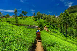 Assam to introduce &lsquo;tourist police&rsquo; to ensure safety of tourists