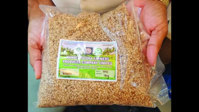 Goa's traditional Walai rice cultivates renown, efforts on to promote this agri-heritage harvest