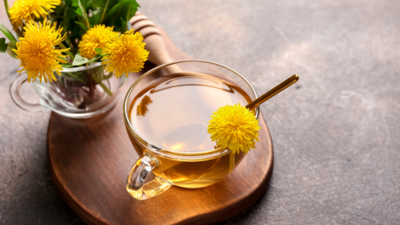Can dandelion tea have an impact on cancer cells?