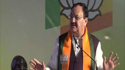 Congress, INDIA bloc's priority interest of families; no concern for Dalits: Nadda