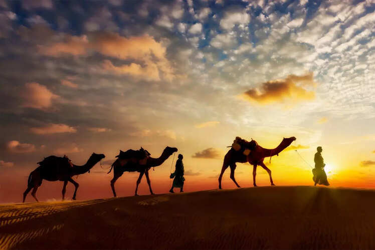 National Research Centre on Camel