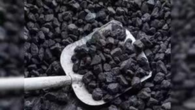 Government panel seeks carbon tax rejig to discourage coal imports
