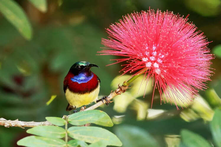 Rich flora and fauna