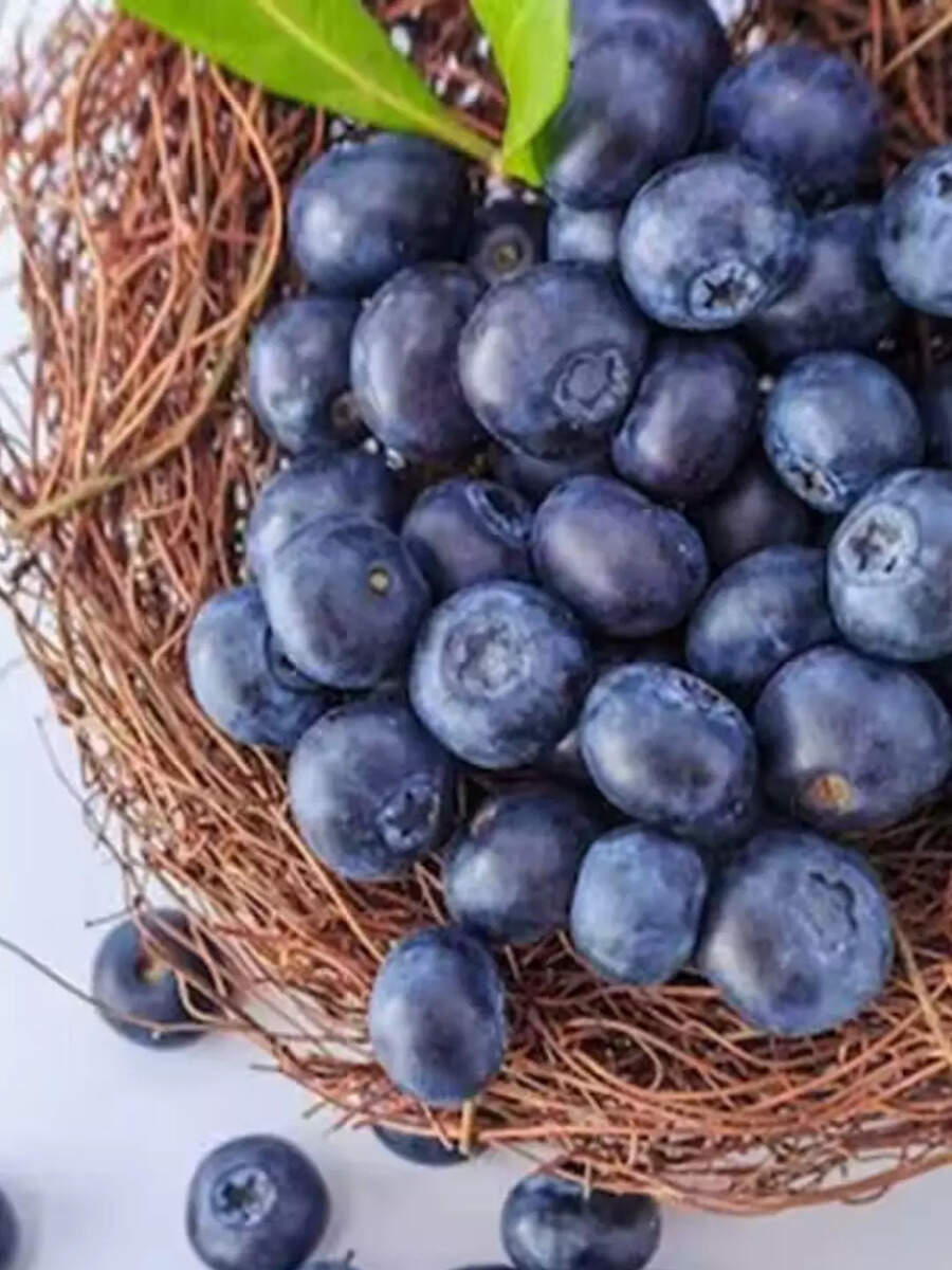  நாவல் பழம்  சாப்பிடுவதால் கிடைக்கும் 8 ஆரோக்கிய நன்மைகள்! 