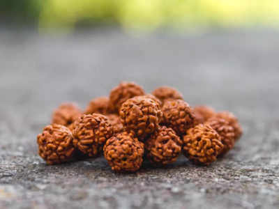 Exploring the truths and myths surrounding Rudraksha: What you need to know