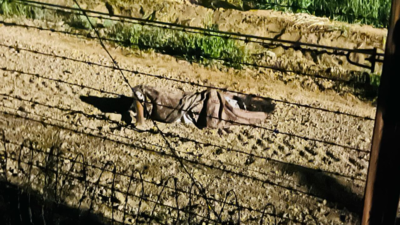 BSF soldiers kill Pakistani infiltrator at India-Pak border