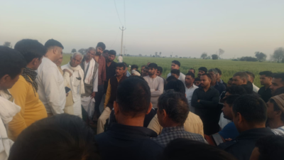 Farmer electrocuted to death in field as high-tension electricity wire falls over him