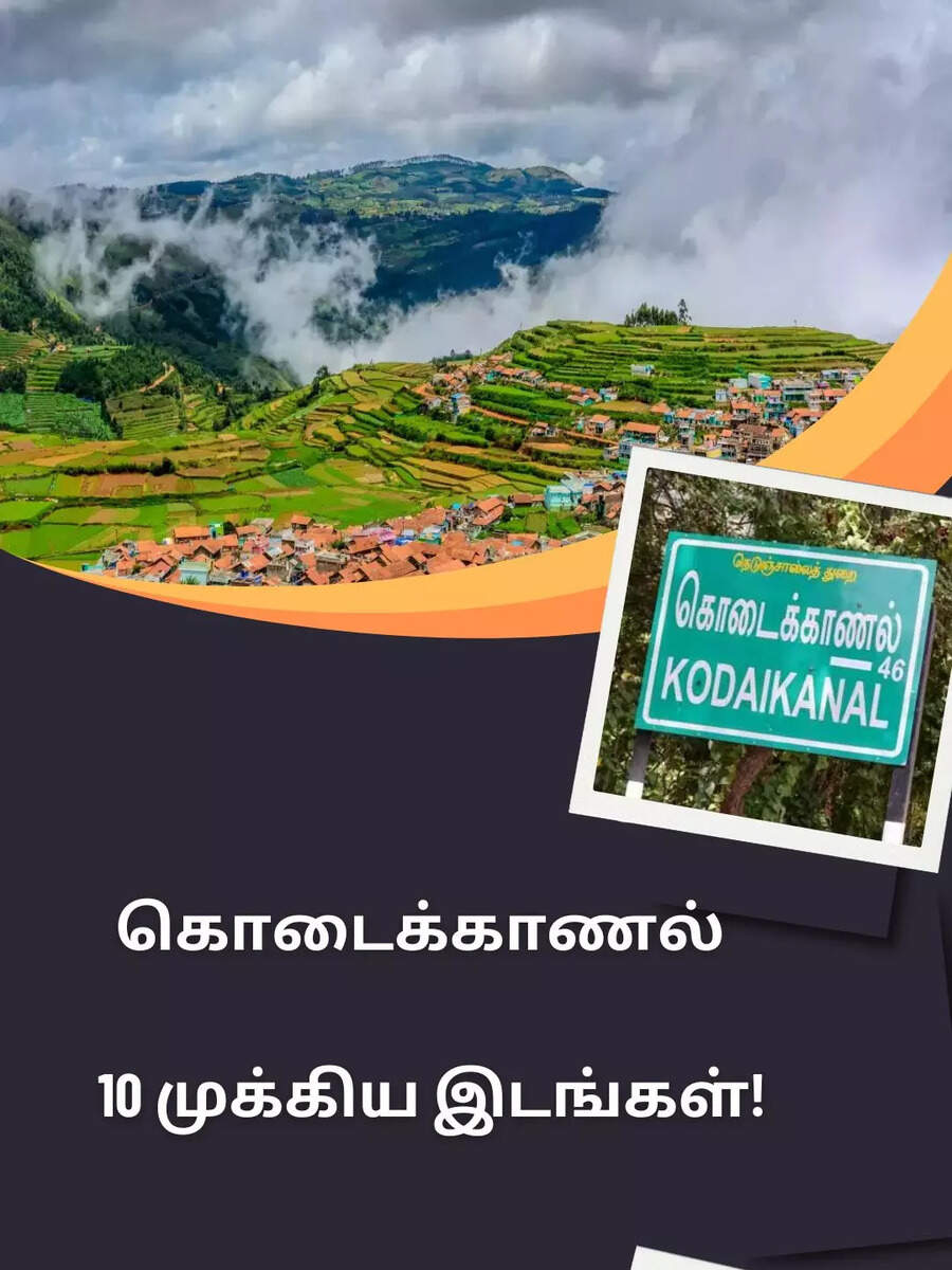  குணா குகை மட்டுமில்லை.. கொடைக்கானலின்  10 முக்கிய டூரிஸ்ட் ஸ்பாட்ஸ்.. 