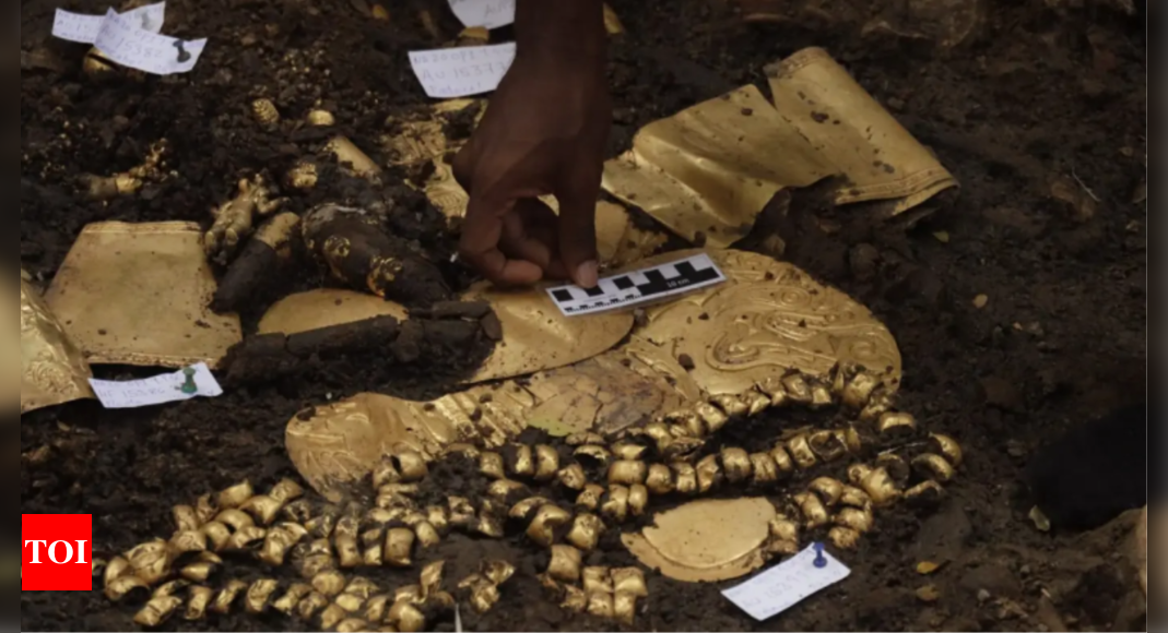 ‘Bracelets, belt, earrings’: Archaeologists find ancient tomb filled with gold in Panama – Times of India