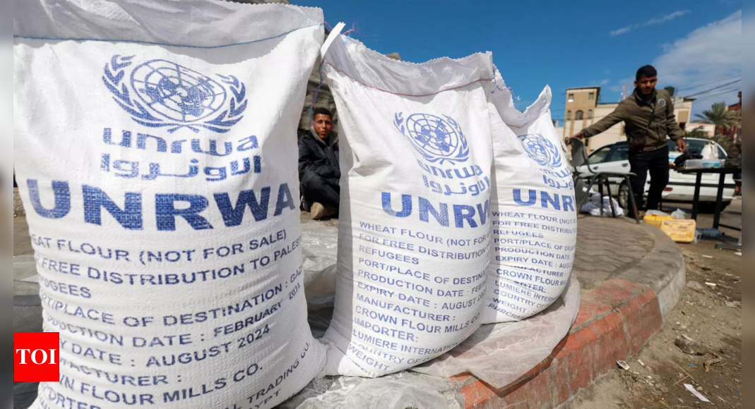 Sweden resumes aid to UN agency for Palestinians – Times of India