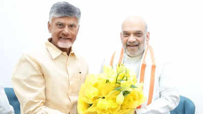 TDP, BJP seal seat-sharing arrangement for Andhra Pradesh elections