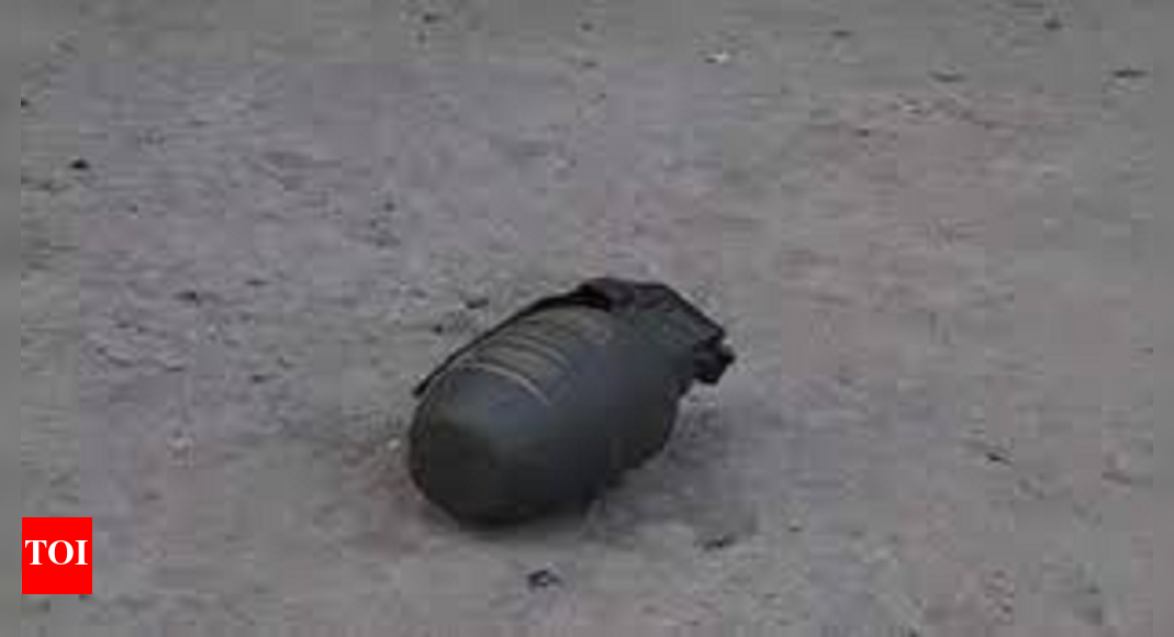 Two rusted grenades, several pistol rounds recovered in J&K's Rajouri district | India News - Vimarsana News