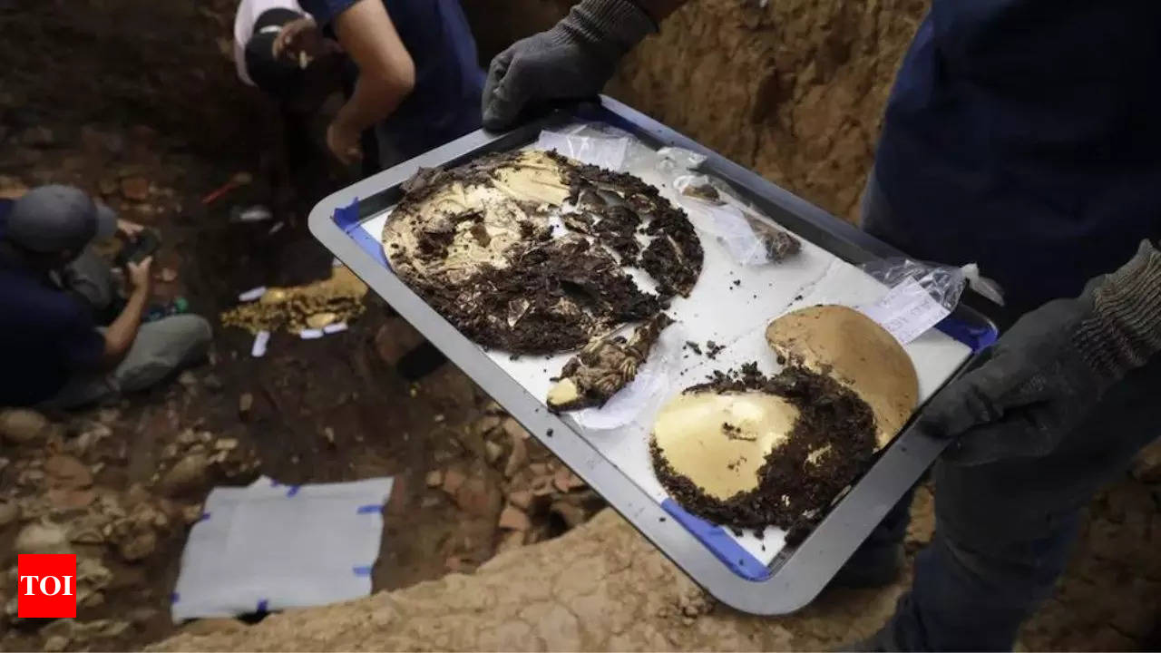 A 1,200-year-old tomb filled with gold treasures and human remains found in Panama | - Times of India