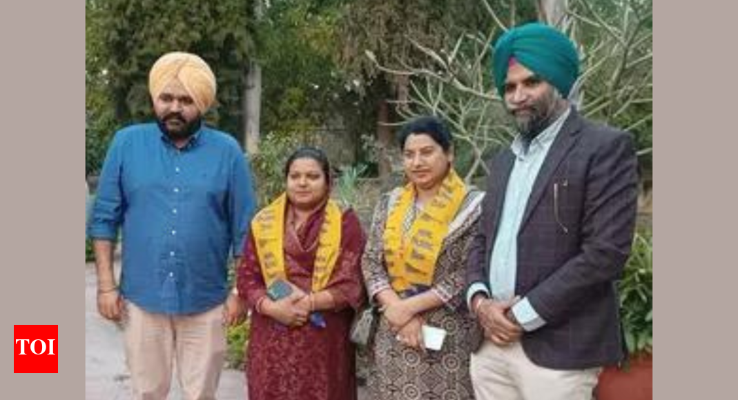 Two Chandigarh councillors return to AAP within weeks of joining BJP | India News - Vimarsana News