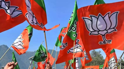 BJP names seven candidates for UP legislative council