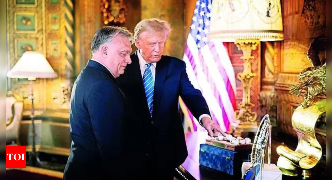 Trump hosts populist PM of Hungary at his Florida home – Times of India