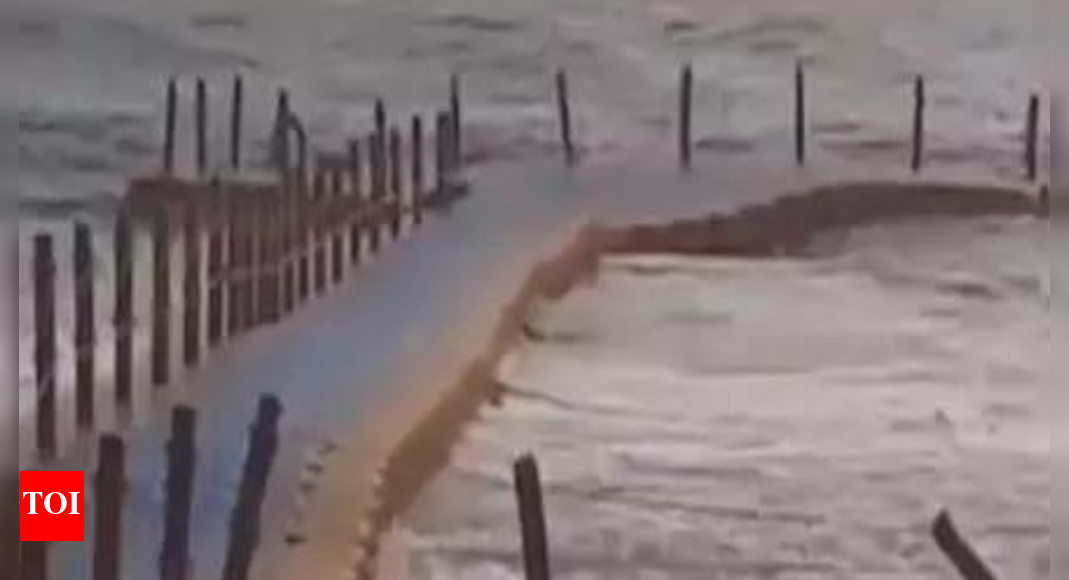 15 hurt after handrail of floating bridge falls off | India News - Vimarsana News