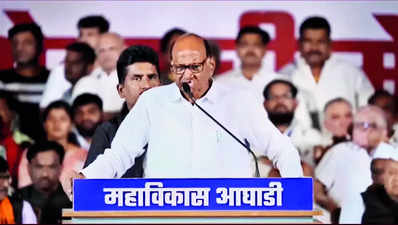 Politician focusing only on one state can’t be PM of India: Sharad Pawar