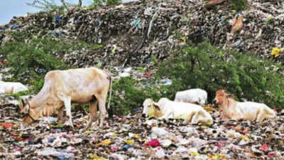 4 dump sites around Hyderabad to alleviate garbage woes