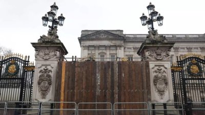​Man crashes car into Buckingham Palace gates