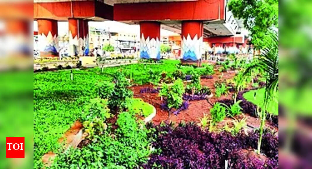 TVS Tollgate Flyover TVS Tollgate Flyover in Trichy to Get LED Rope