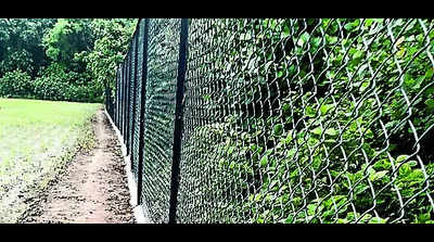 Pilibhit Tiger Reserve replaces solar fencing with 9-ft high chain-link