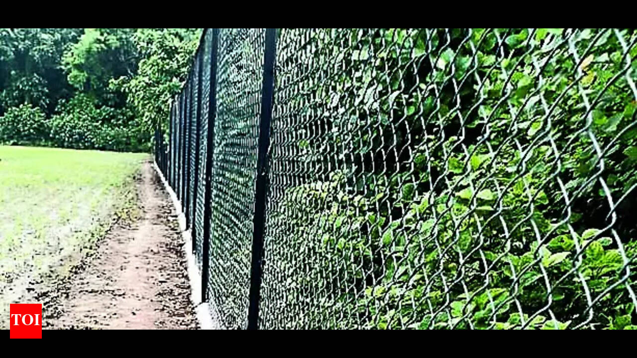 Pilibhit Tiger Reserve Replaces Solar Fencing With 9-ft High Chain-link |  Bareilly News - Times of India